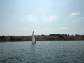 P1050929